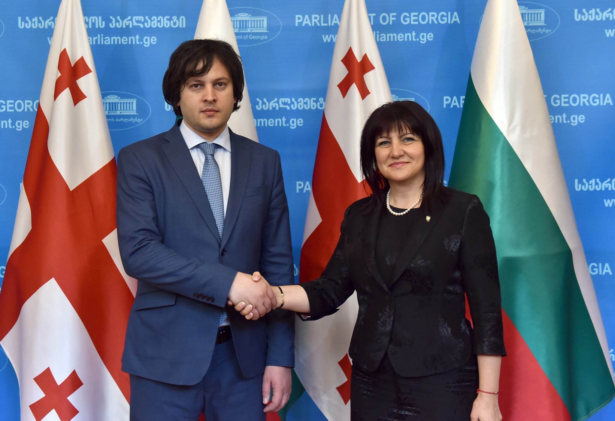 رئيس البرلمان الجورجي في بلغاريا