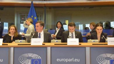 جلسة البرلمان الأوروبي تشيد بالإصلاحات الديمقراطية في جورجيا