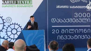 رئيس الوزراء يُطلق مشروع جديد في روستافي - جورجيا بطاقة 3000 عامل