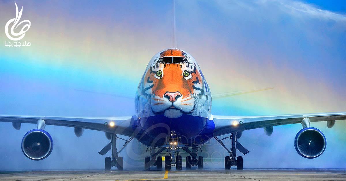 لوحات فنية في صور طائرات | من أجمل طائرة في العالم؟ | ترانس إيرو والنمر الآسيوي