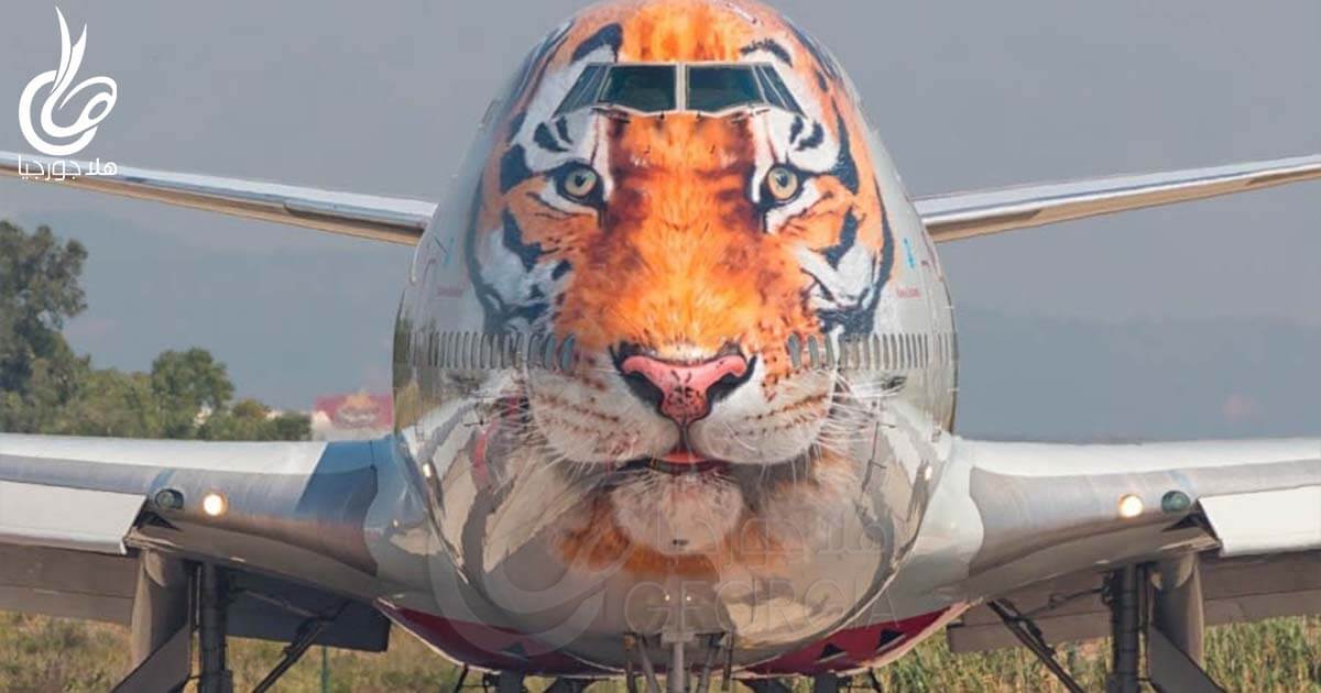 لوحات فنية في صور طائرات | من أجمل طائرة في العالم؟ | روسيا إير والنمر الروسي