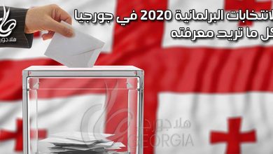 الانتخابات البرلمانية 2020 في جورجيا - صورة افتراضية