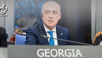 وزير خارجية جورجيا دافيد زالكالياني - تقدم جورجيا بطلب عضوية الاتحاد الأوروبي في 2024