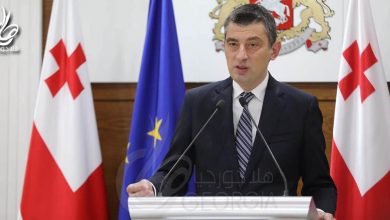رئيس وزراء جورجيا جيورجي جاخاريا يطرح حزم دعم المواطنين والأعمال في ظل القيود الوبائية لفيروس كورونا