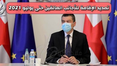 جيورجي جاخاريا رئيس وزراء جورجيا يقرر تمديد الإقامة للأجانب العالقين بسبب فيروس كورونا حتى يوليو 2021