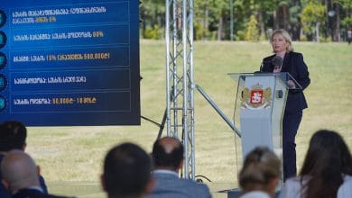 جورجيا تعلن عن الخطة العشرية لتنمية الاقتصاد الجورجي لمدة 10 سنوات المقبلة. 1