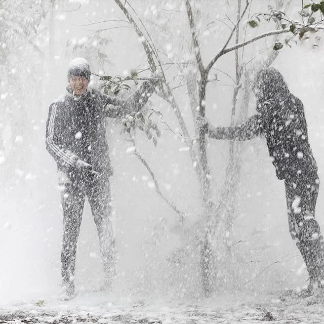 بالصور: الثلوج تغطي تبليسي 8