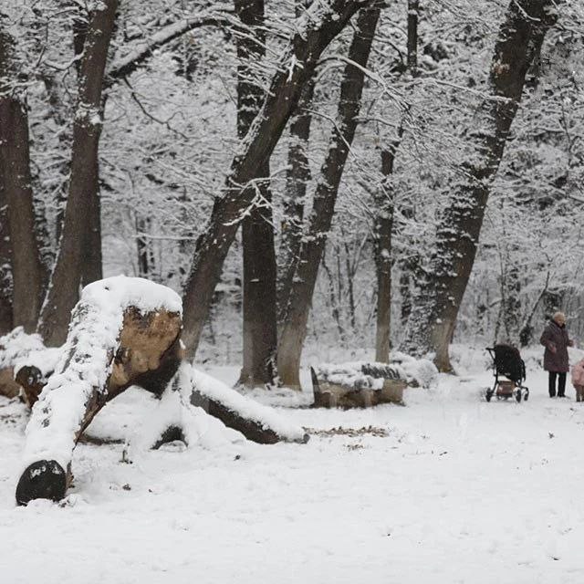 بالصور: الثلوج تغطي تبليسي 9