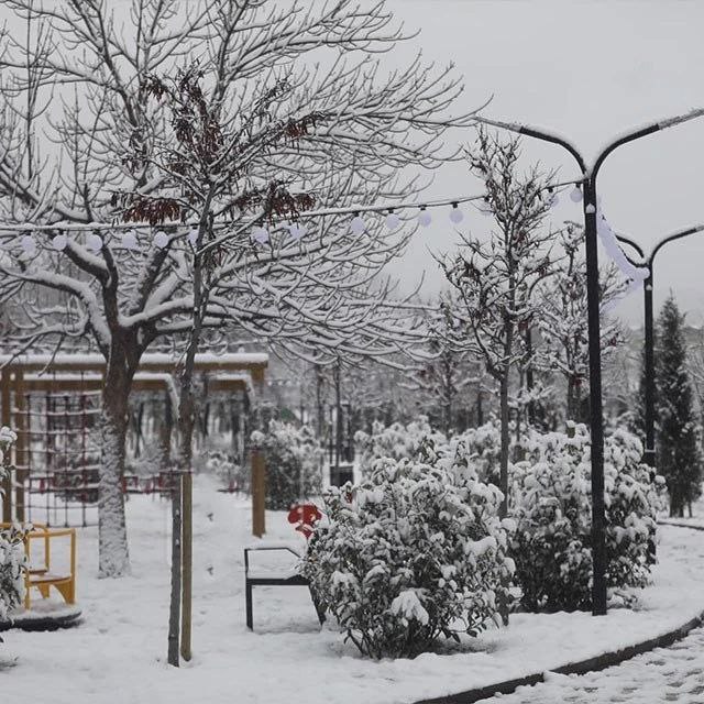 بالصور: الثلوج تغطي تبليسي 10