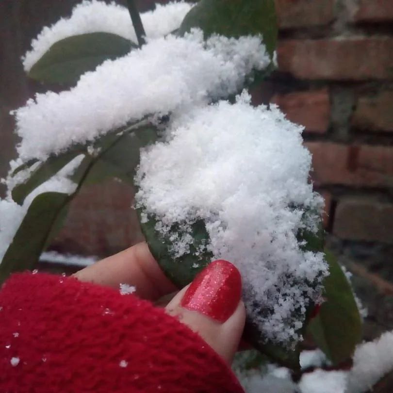 بالصور: الثلوج تغطي تبليسي 13