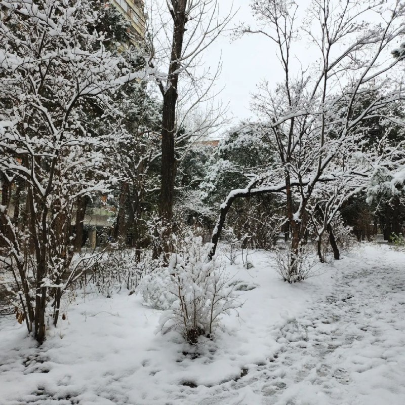 بالصور: الثلوج تغطي تبليسي 11