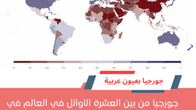 الديمقراطية