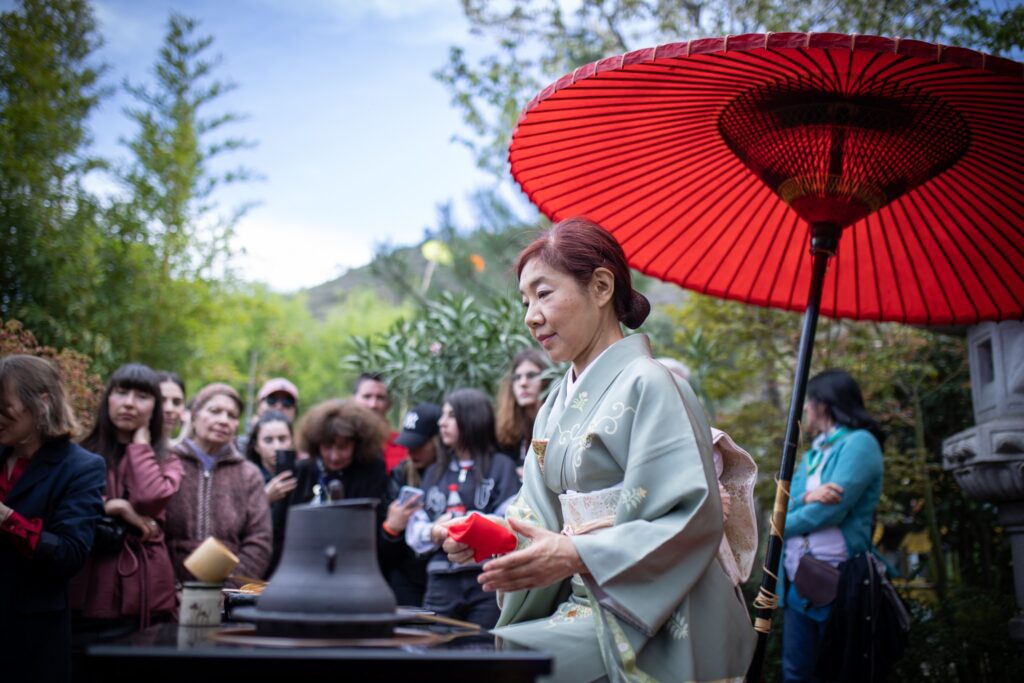 <strong>الحدائق اليابانية في جورجيا.. حديقة النباتات الوطنية  تستضيف مهرجان "أزهار ساكورا"</strong> 13