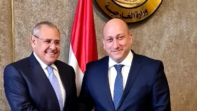 الجولة السابعة من المشاورات السياسية الثنائية بين وزارتي خارجية جورجيا وجمهورية مصر العربية 10