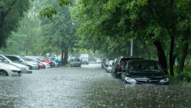 Shutter Stock/ أمطار غزيرة تغرق السيارات في بعض شوارع تبليسي