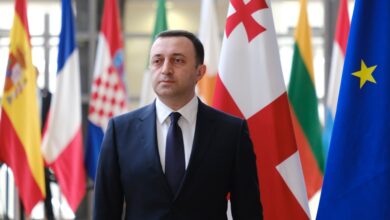Shutter Stock/ رئيس وزراء جورجيا يقول إن الدول الأوروبية تفاجأت من النمو الاقتصادي القوي لبلاده ويؤكد دعمهم لانضمامها للاتحاد