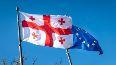 Shutter Stock/ رئيس وزراء جورجيا: الاتحاد الأوروبي سيمنحنا وضع "مرشح"