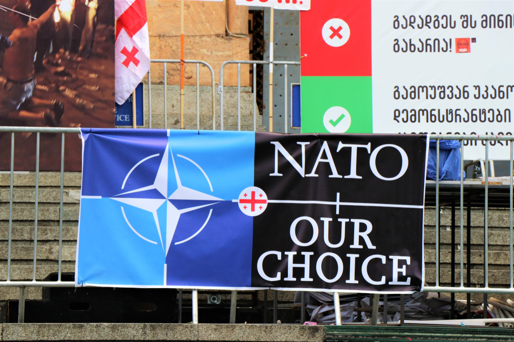 Shutter Stock/ العلاقات بين جورجيا والناتو