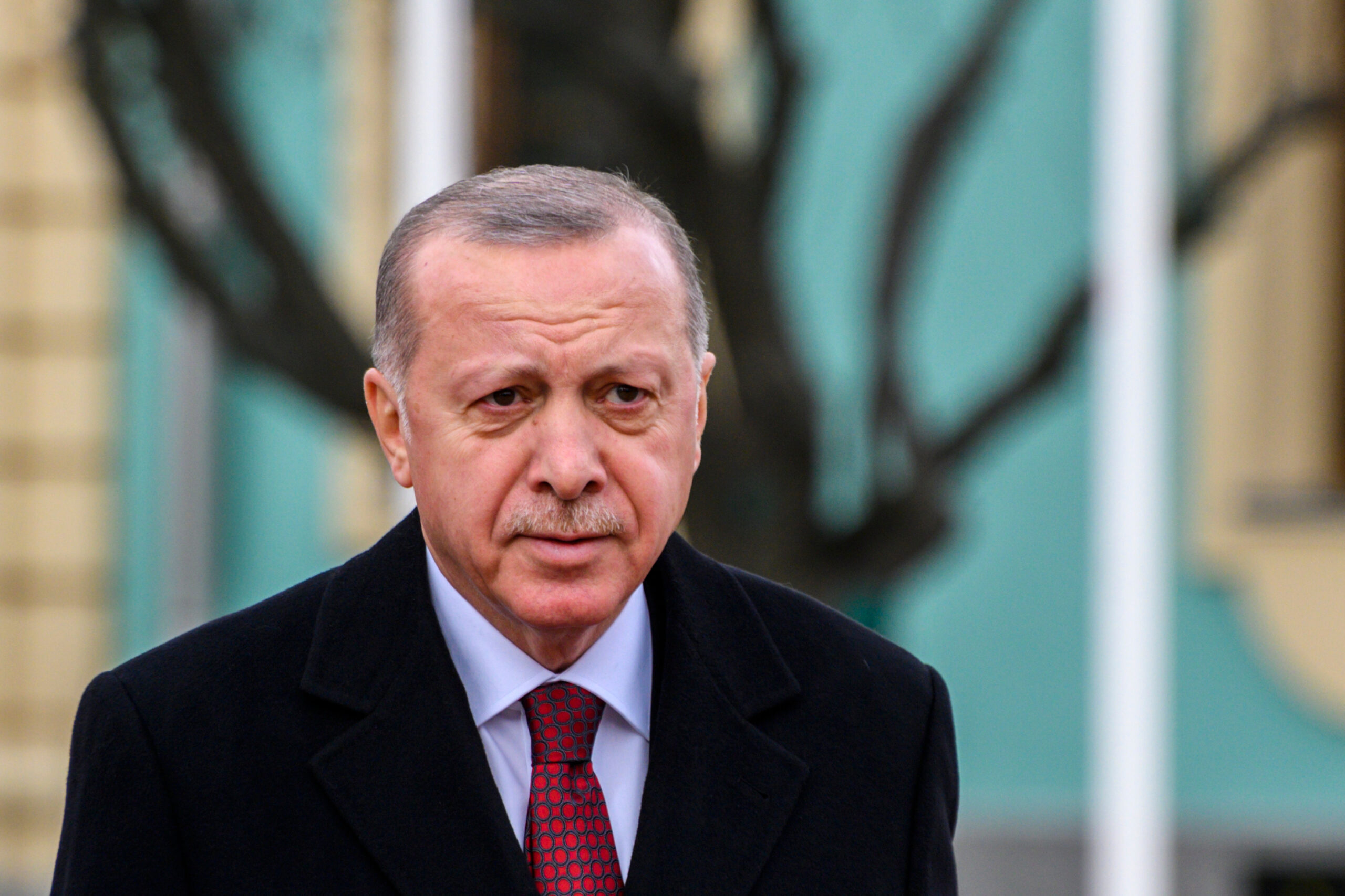 رجب طيب أردوغان يهنئ رئيس وزراء جورجيا الجديد