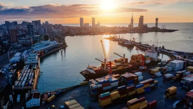 صادرات جورجيا تقفز إلى 3.2 مليار دولار في النصف الأول من 2025 مدفوعةً بالسيارات