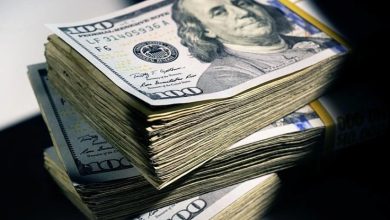ارتفاع التحويلات النقدية بنسبة 12% في سبتمبر 2025