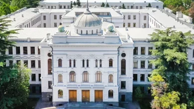 الحكومة تعلن عن دمج جامعة تبليسي الحكومية وجامعة جورجيا التقنية