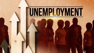 انخفاض معدل البطالة في جورجيا إلى 13.3% بنهاية عام 2025