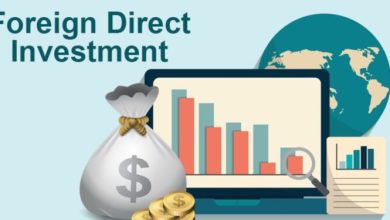 جورجيا تستقطب استثمارات أجنبية مباشرة بقيمة 1.69 مليار دولار في 2025