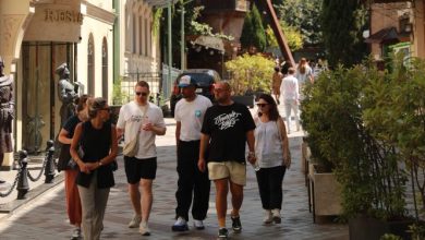 سجل قطاع السياحة انخفاضاً في مارس